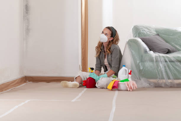 Reliable Mold Cleanup contractor in Cameron, TX by Cheap Mold Removal